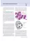 Цветной атлас по клинической гематологии: молекулярная и клеточная основа заболеваний : руководство