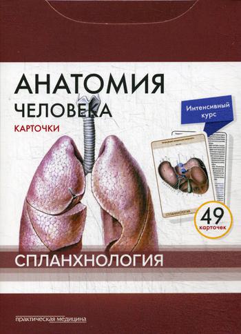 Анатомия человека. Спланхнология. Карточки (49 шт)