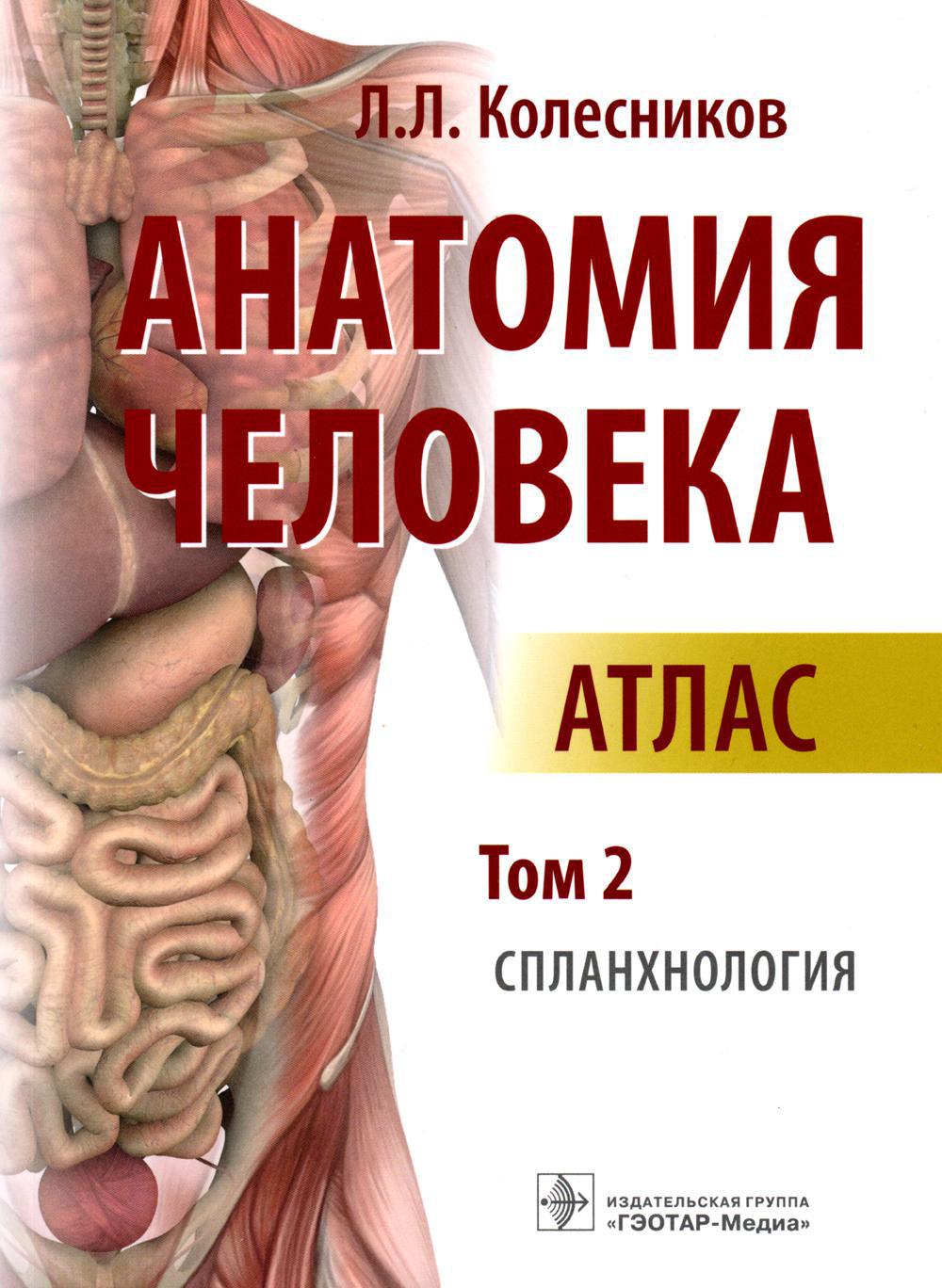 Анатомия человека: атлас: В 3 т. Т. 2. Спланхнология