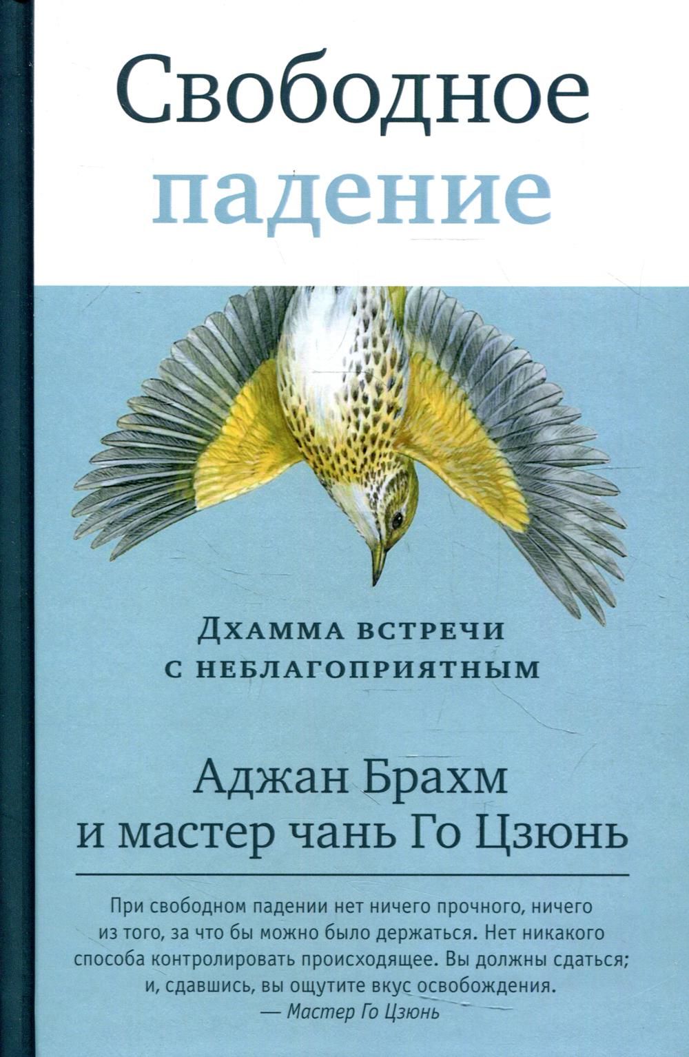 Свободное падение. Дхамма встречи с неблагоприятным