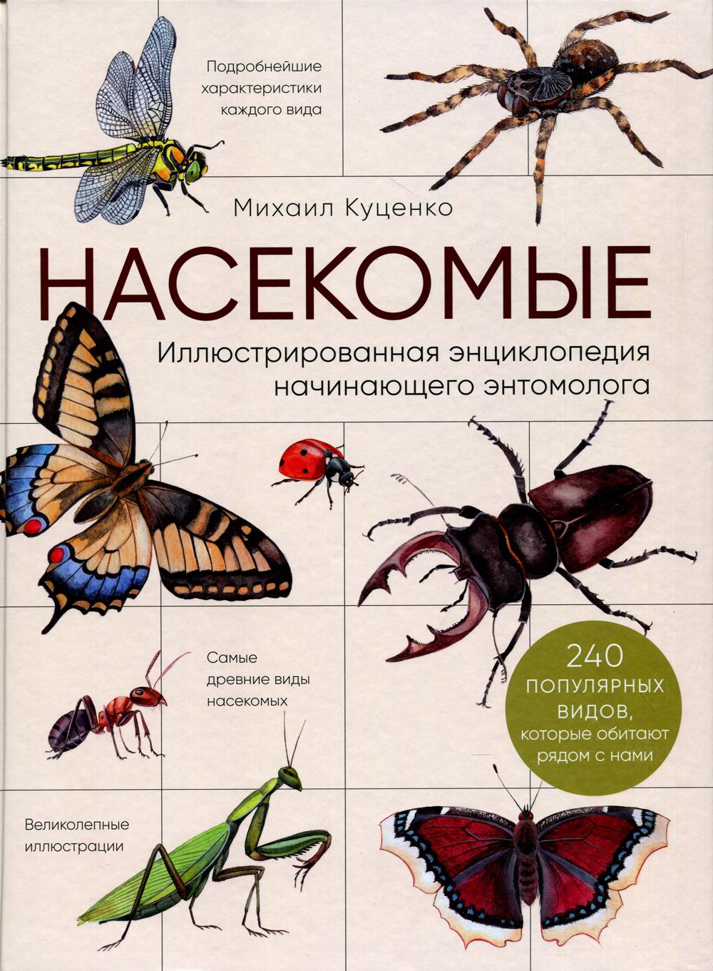 Насекомые. Иллюстрированная энциклопедия начинающего энтомолога. 240 популярных видов, которые обитают рядом с нами