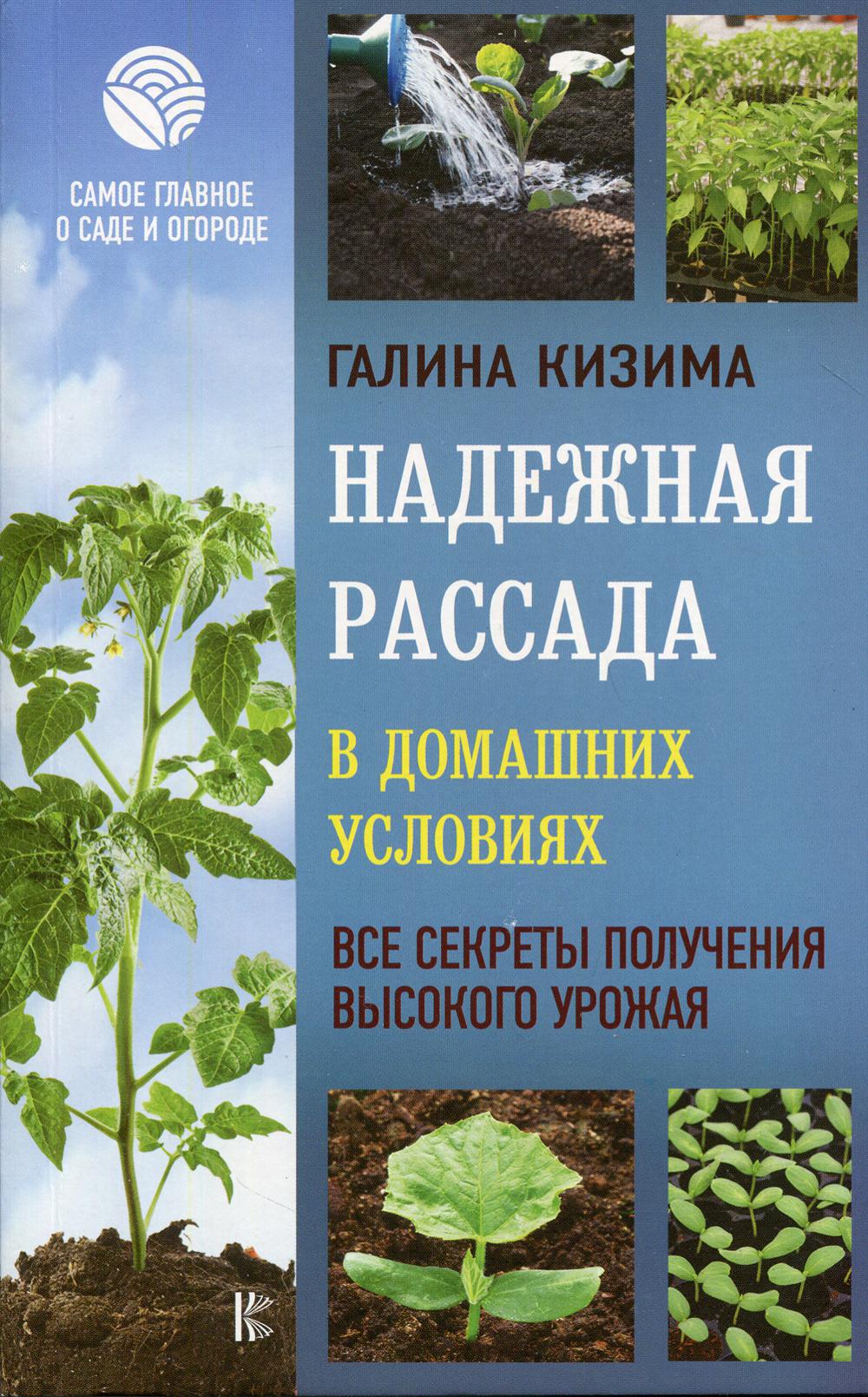 Надежная рассада в домашних условиях. Все секреты получения высокого урожая