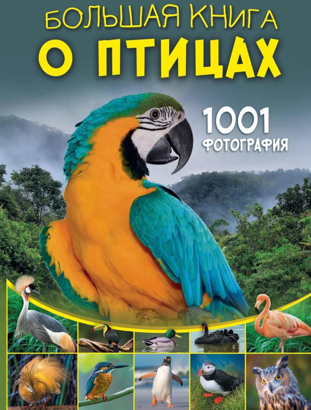 Большая книга о птицах. 1001 фотография