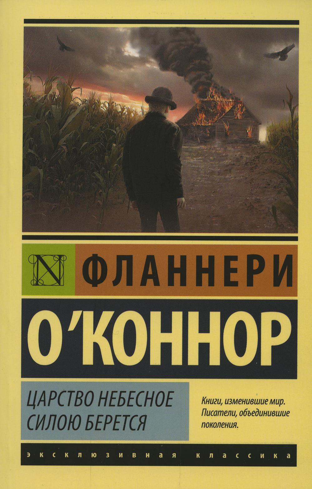 Царство Небесное силою берется: роман