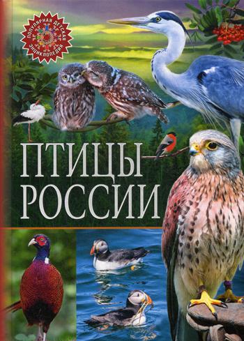 Птицы России. Популярная детская энциклопедия.