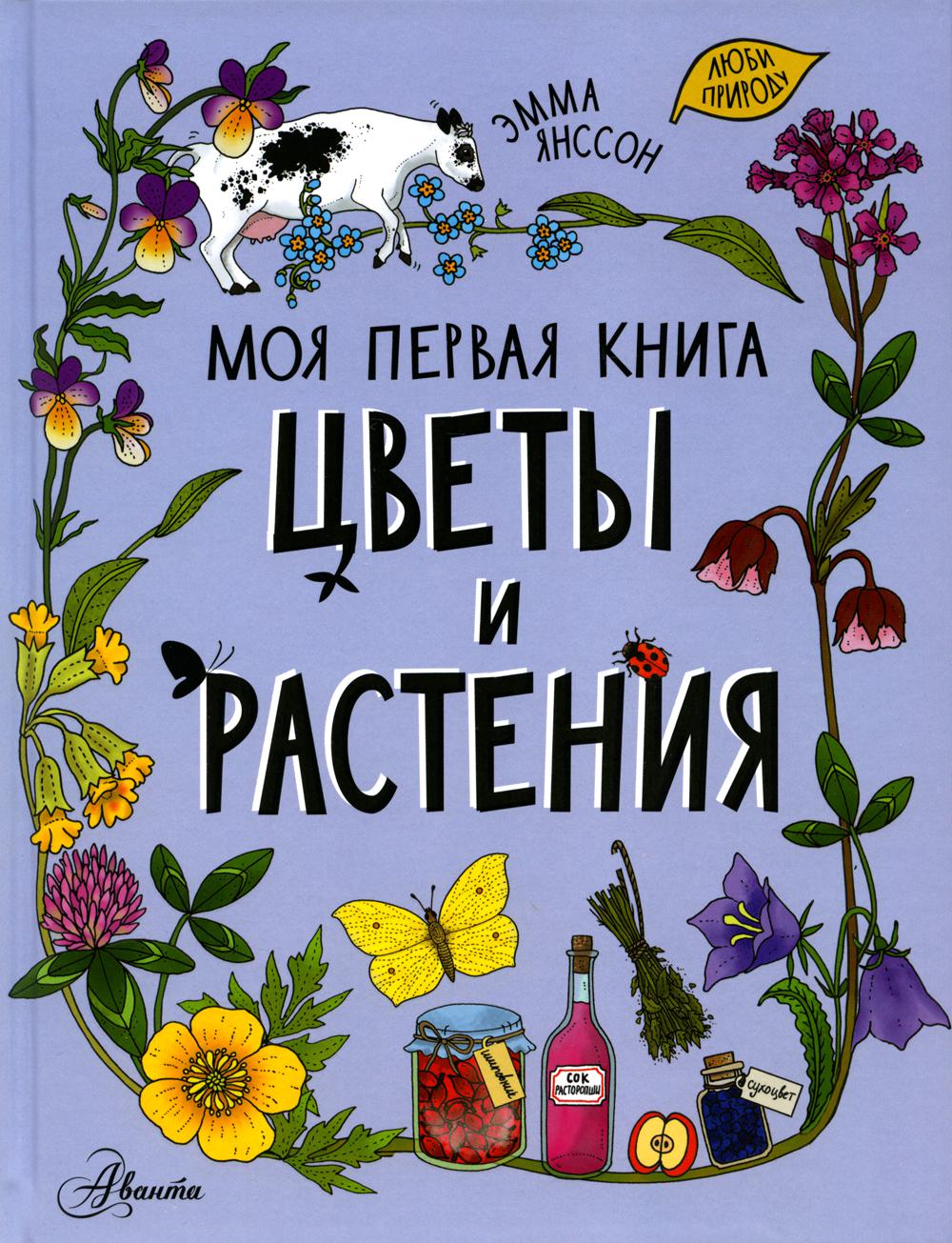 Цветы и растения