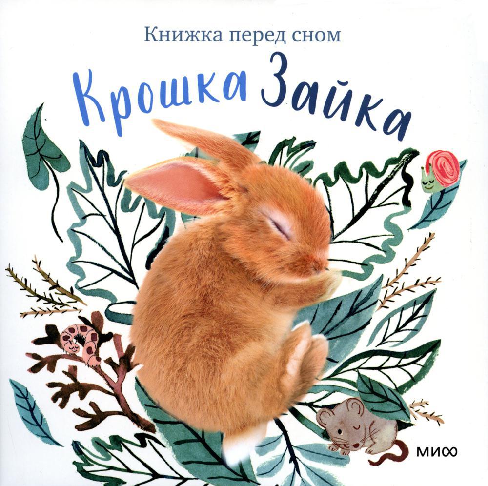 Крошка Зайка