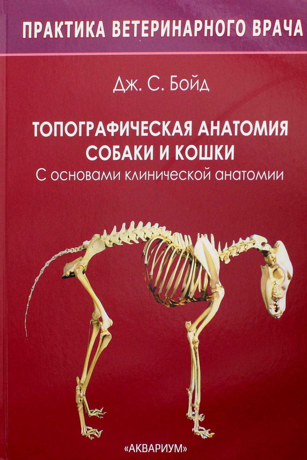 Топографическая анатомия собаки и кошки. С основами клинической анатомии. 2-е изд