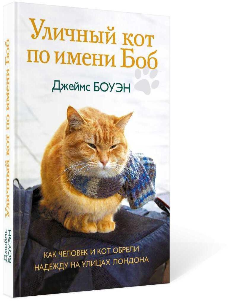 Уличный кот по имени Боб. Как человек и кот обрели надежду на улицах Лондона