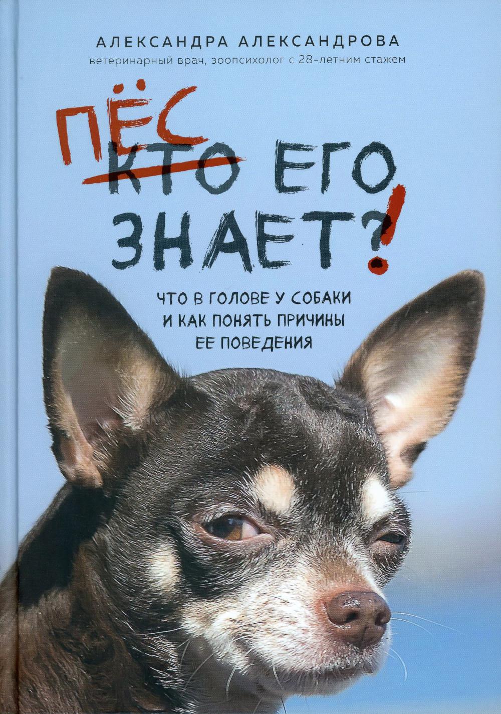 Пес его знает! Что в голове у собаки, и как понять причины ее поведения