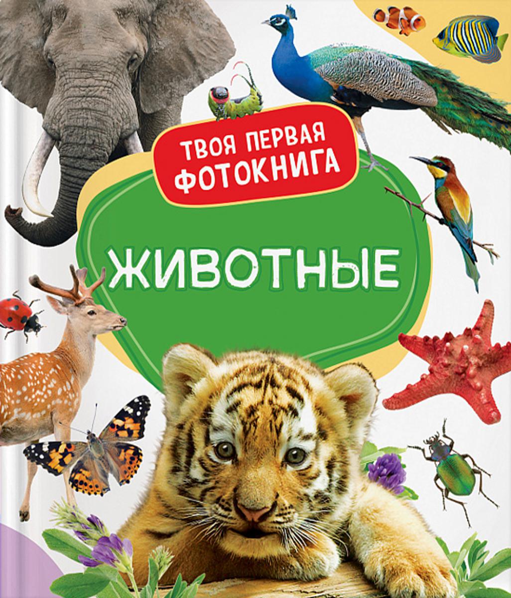 Животные