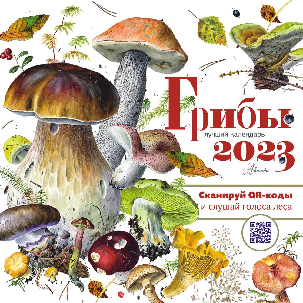 Грибы. Лучший календарь 2023