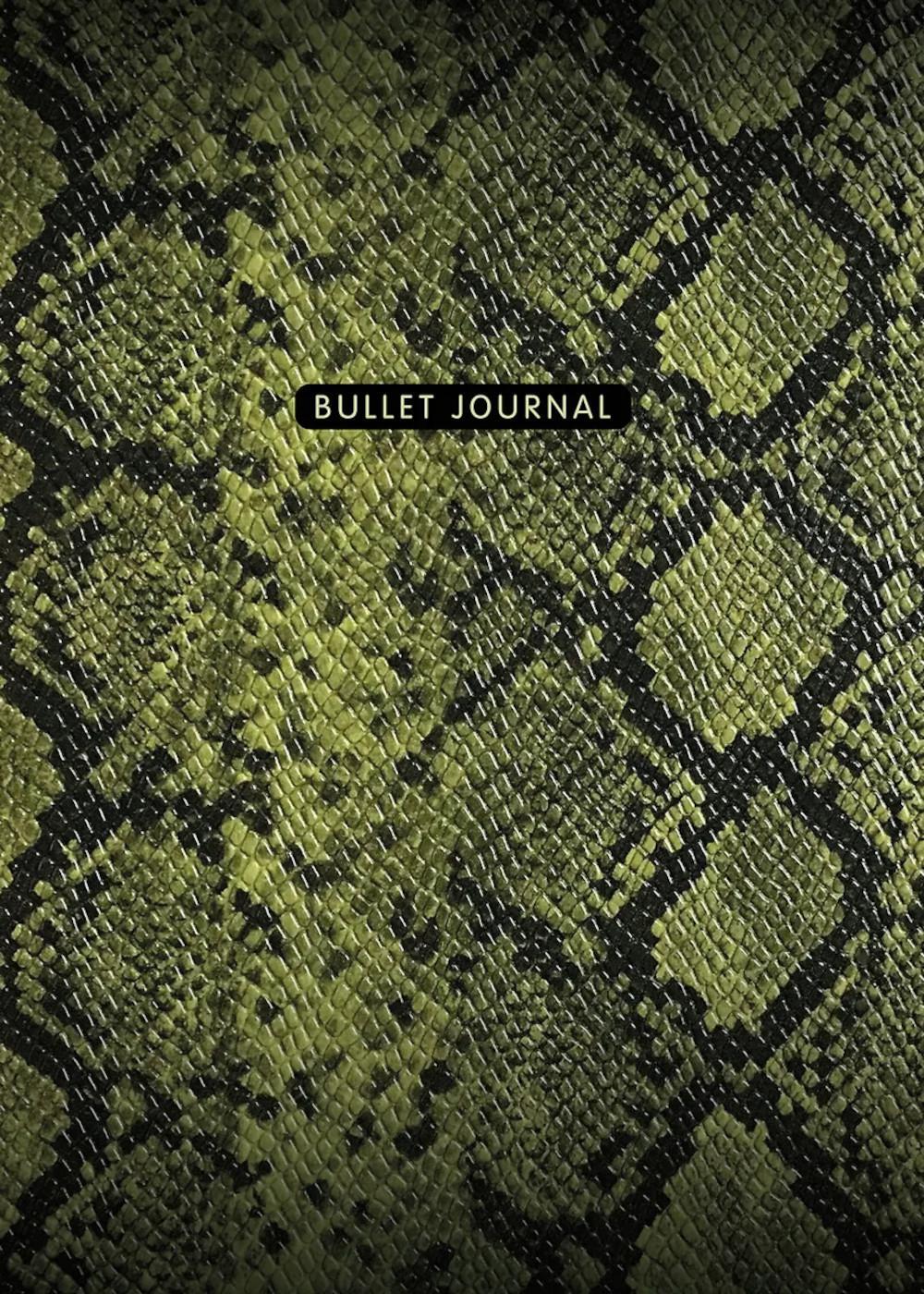 Блокнот в точку: Bullet Journal (змея)