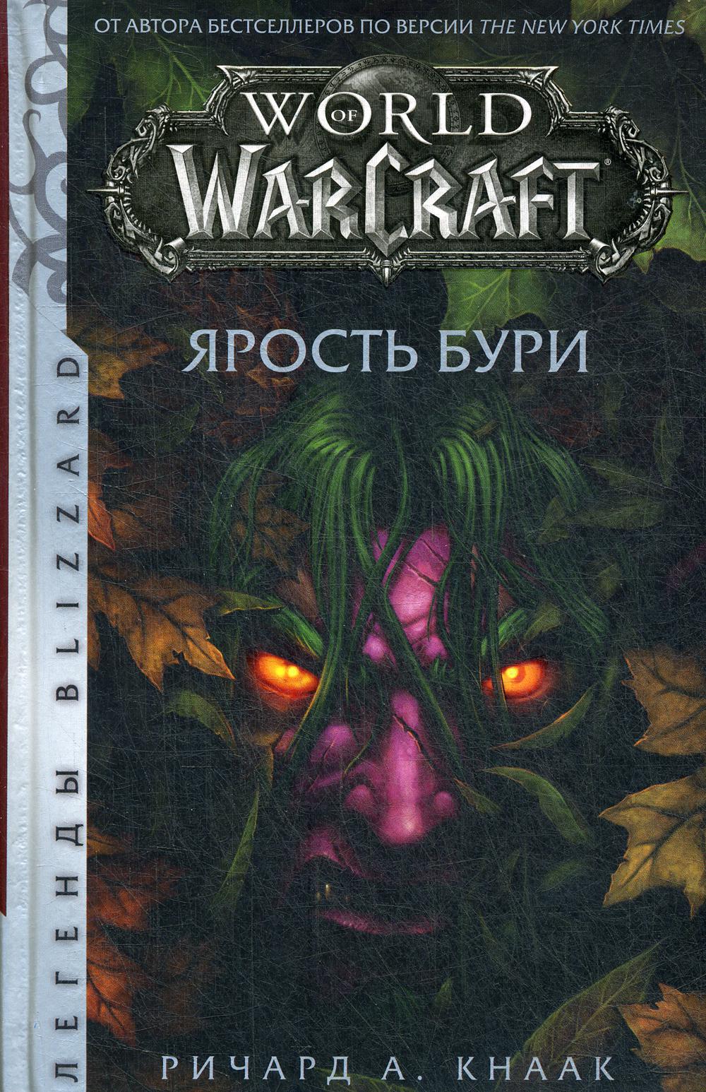 World of Warcraft: Ярость Бури