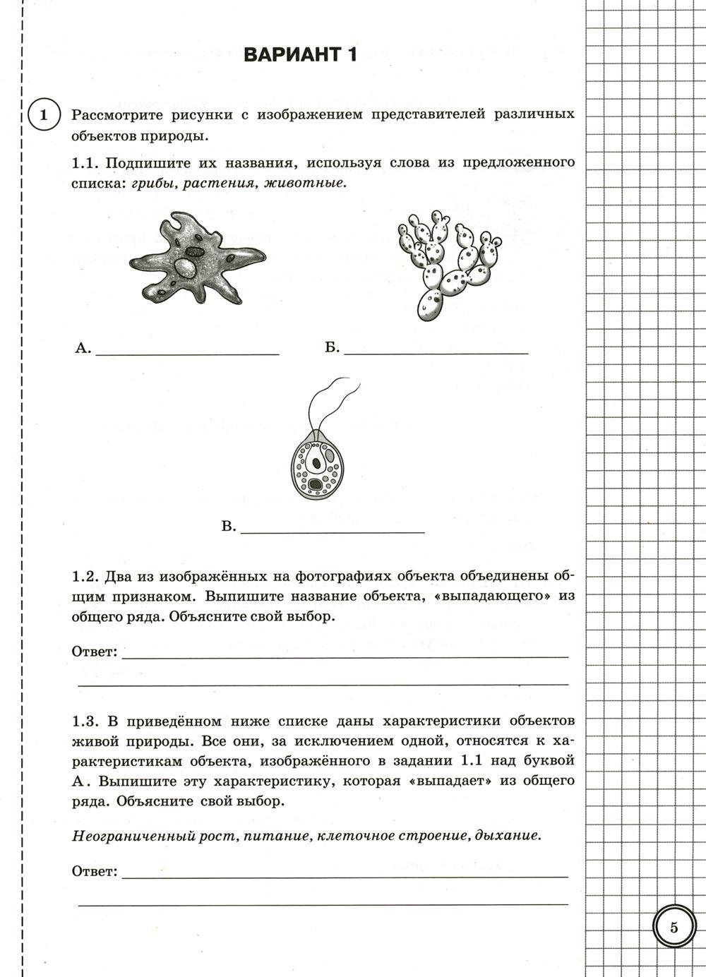 Биология впр 5 класс варианты