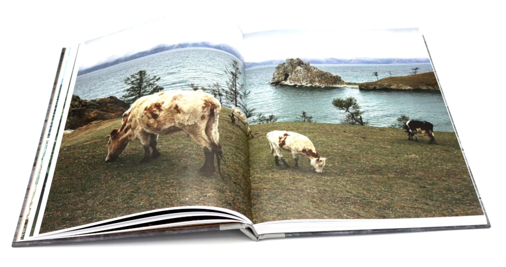 Родина. В 2-х томах