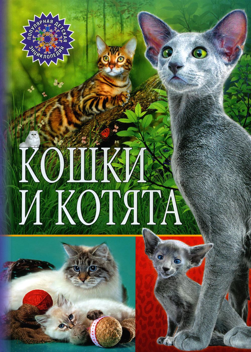 Кошки и котята