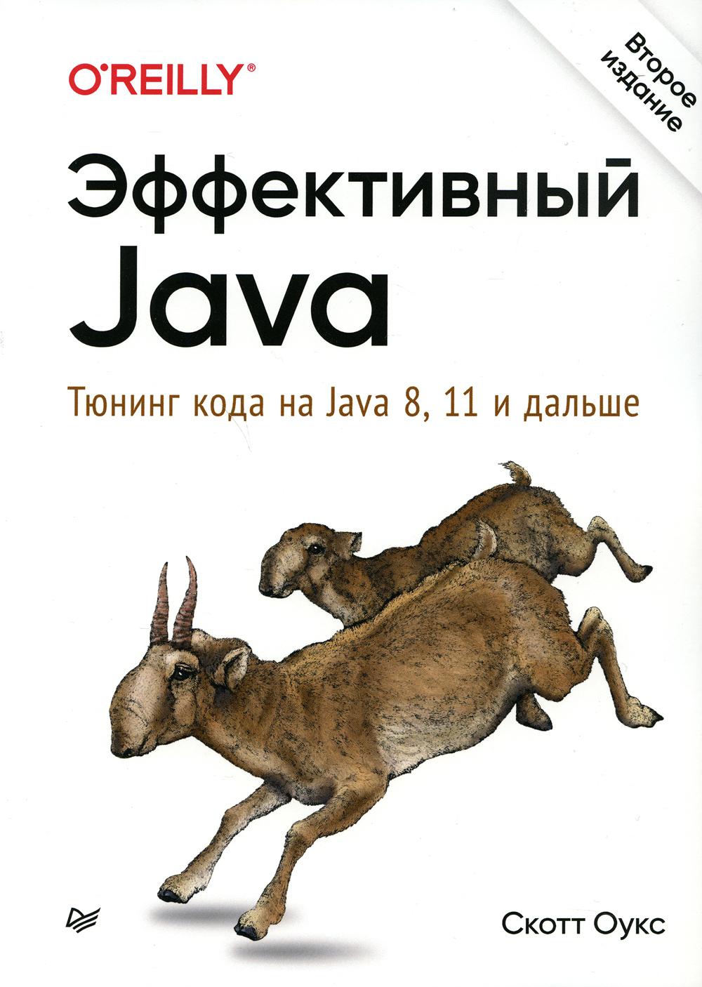 Эффективный Java. Тюнинг кода на Java 8, 11 и дальше. 2-е изд