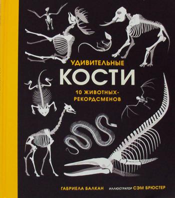 Удивительные кости. 10 животных-рекордсменов