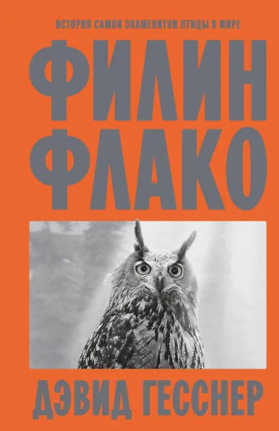 Филин Флако: История самой знаменитой птицы в мире