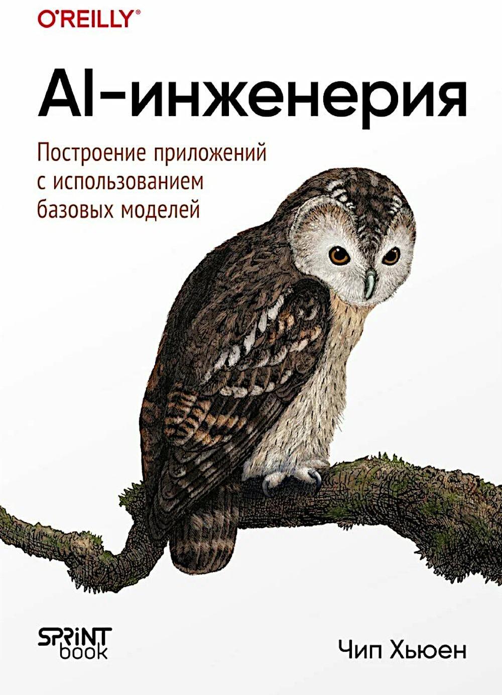 AI-инженерия. Построение приложений с использованием базовых моделей