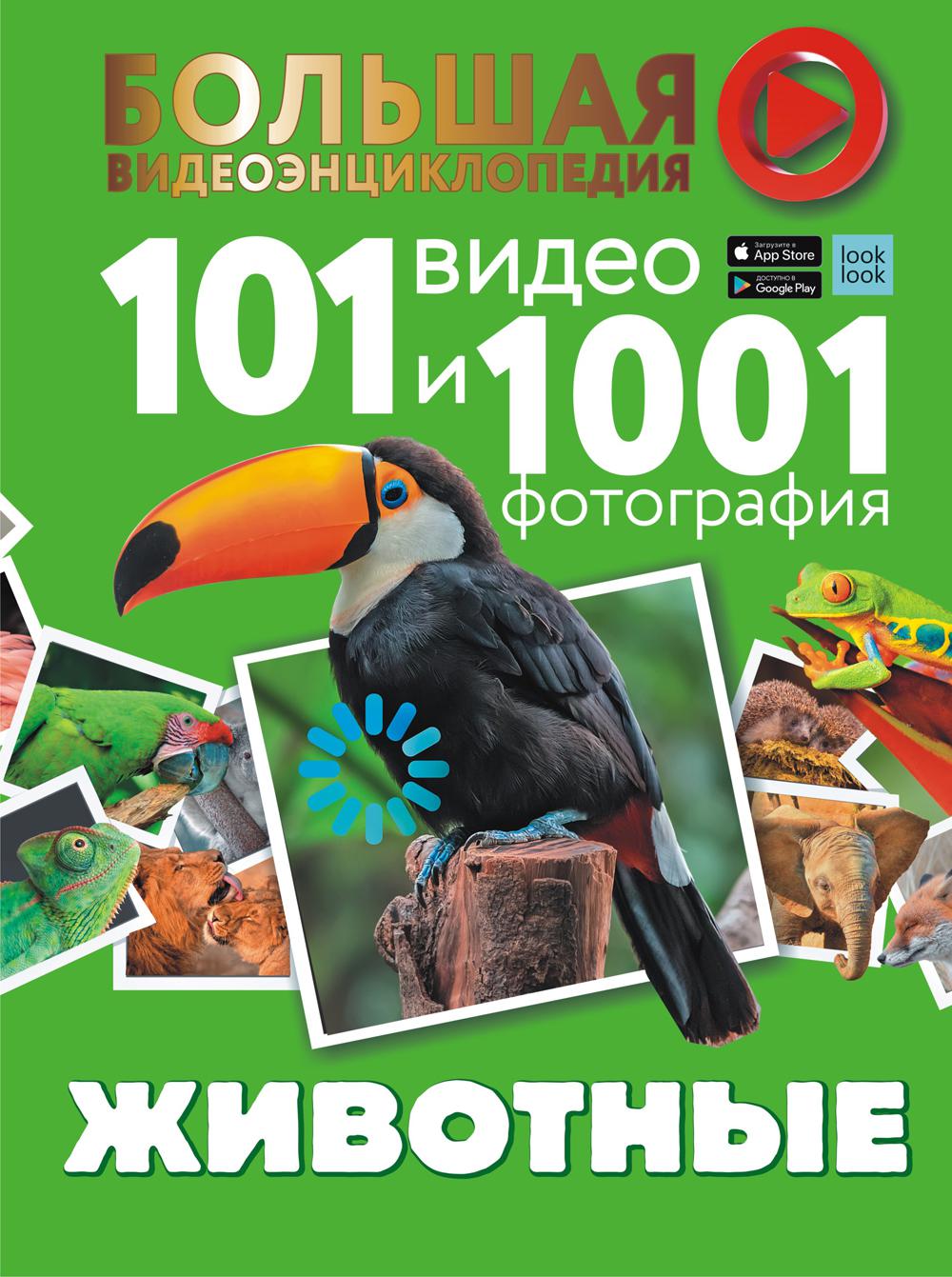 Животные. 101 видео и 1001 фотография