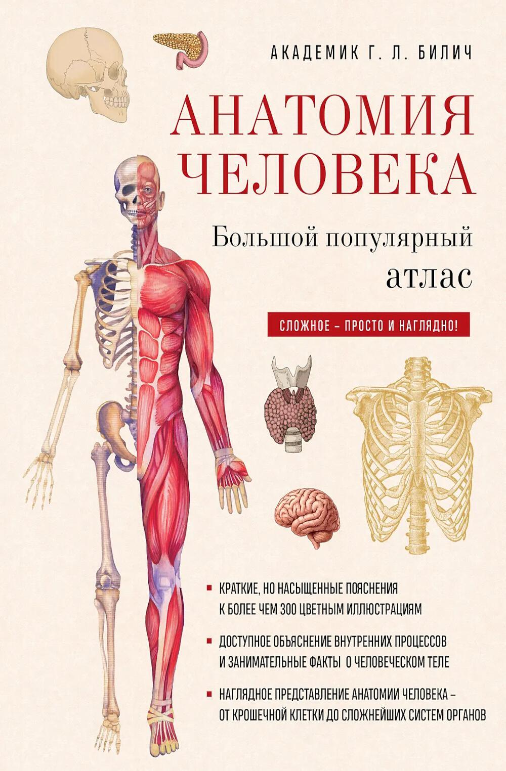 Анатомия человека: большой популярный атлас