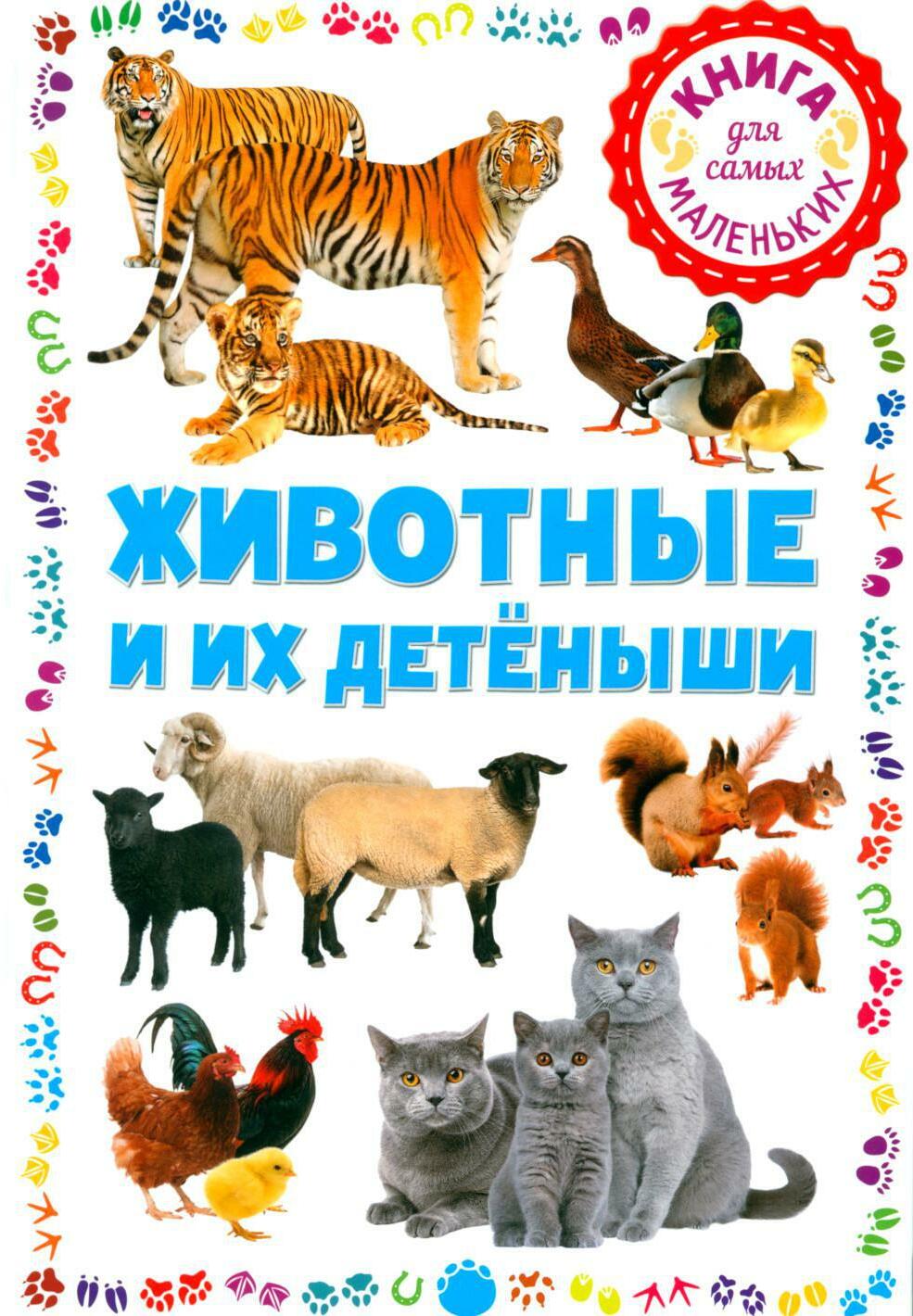 Животные и их детеныши. Книга для самых маленьких