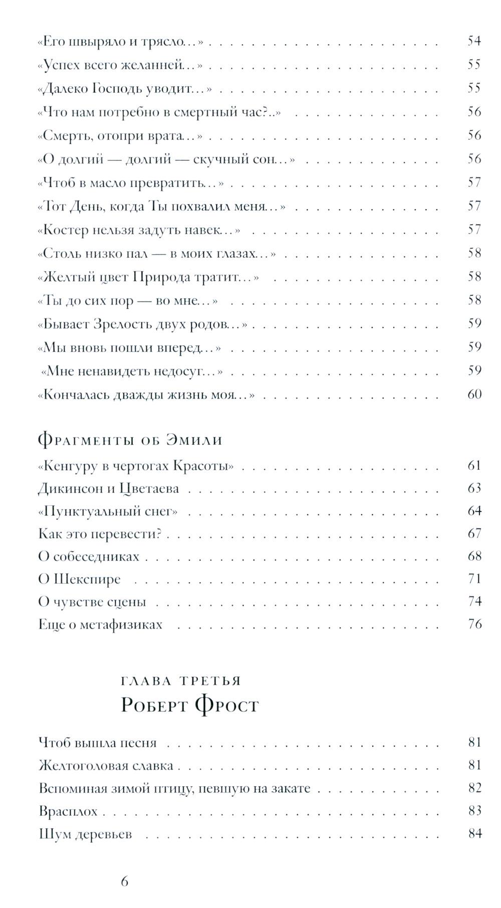 Книга об американской поэзии