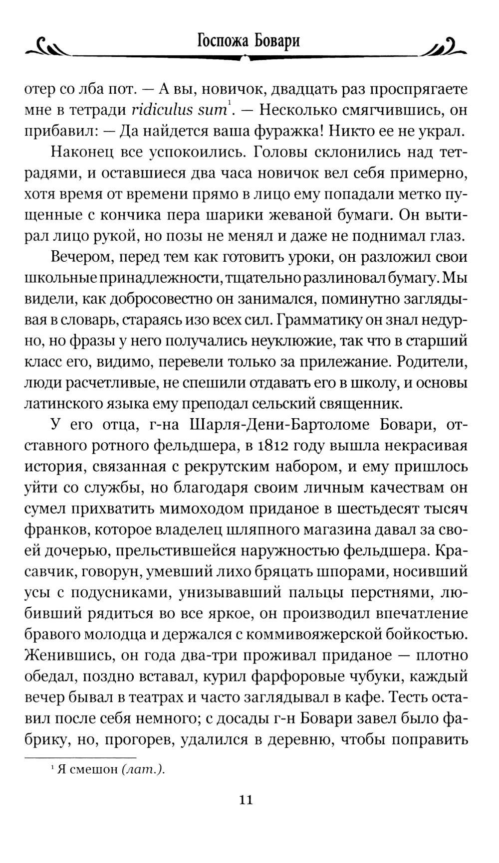 Госпожа Бовари: роман