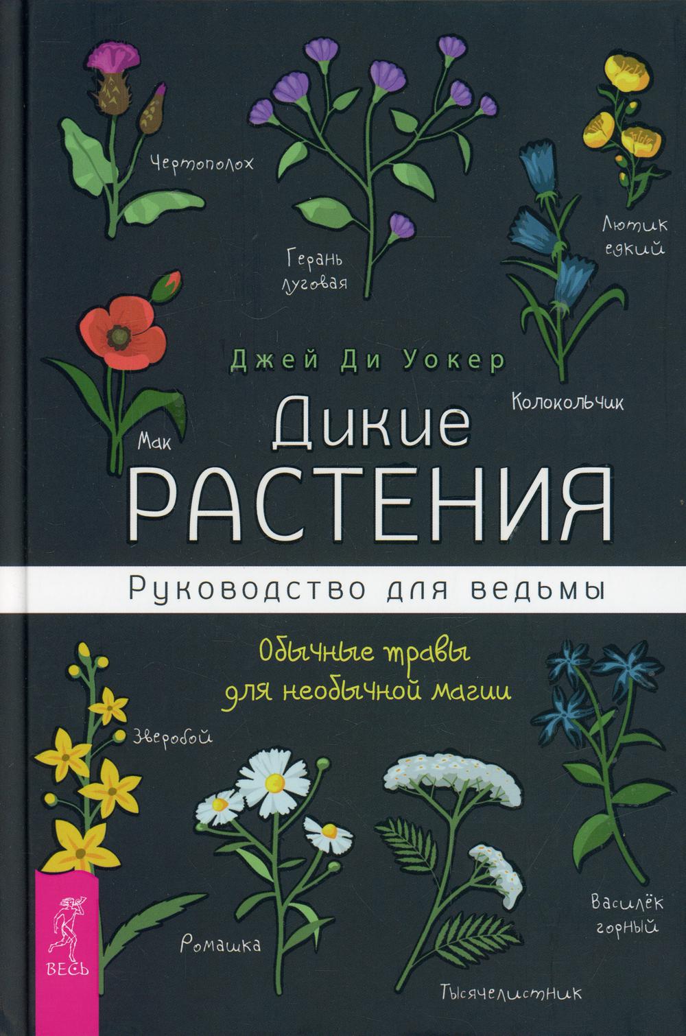 Дикие растения: руководство для ведьмы. Обычные травы для необычной магии