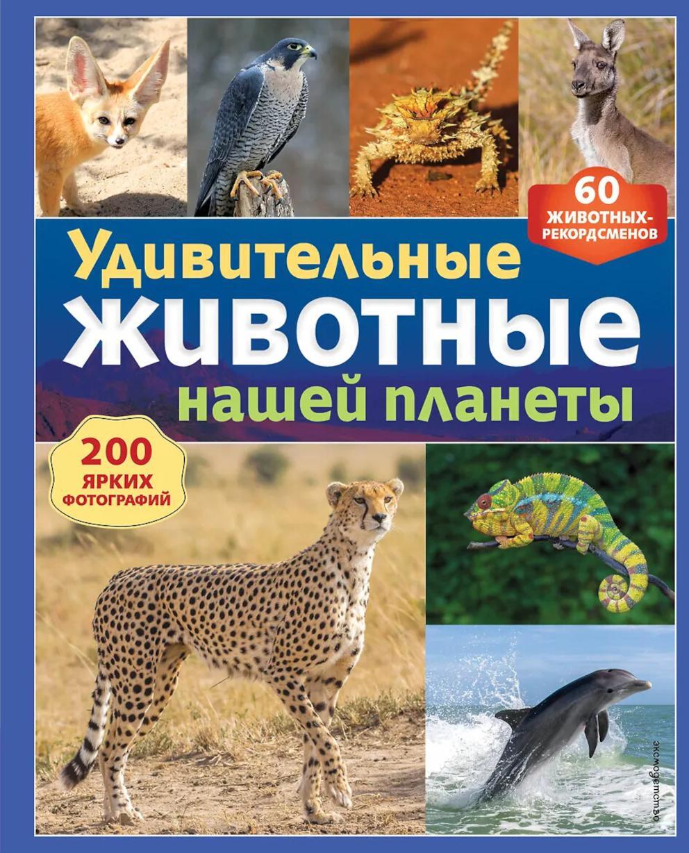 Удивительные животные нашей планеты