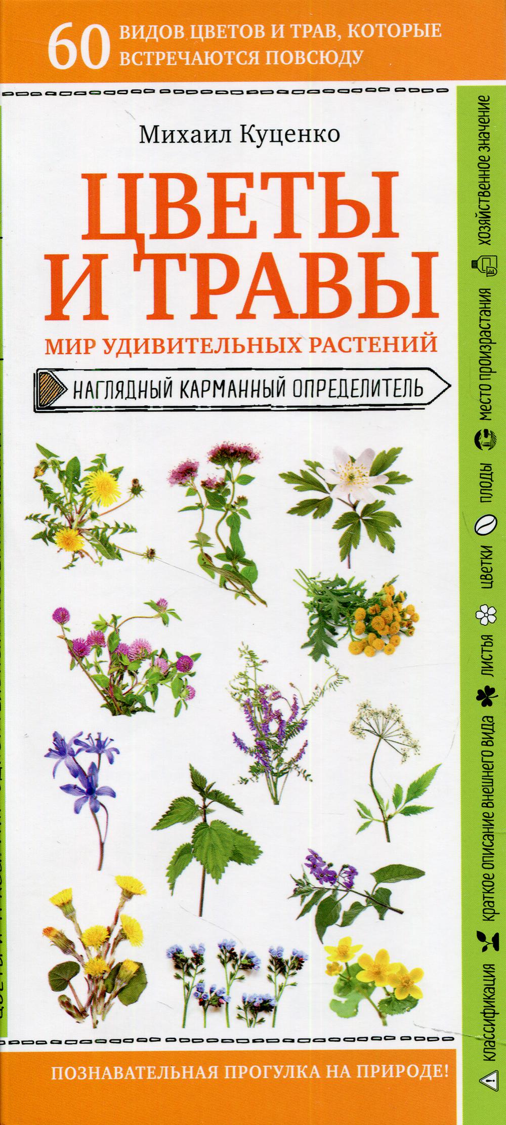 Цветы и травы. Мир удивительных растений: наглядный карманный определитель