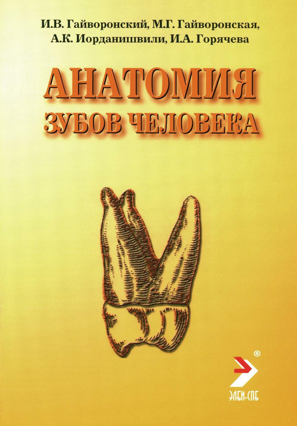 Анатомия зубов человека. 5-е изд., доп. и испр