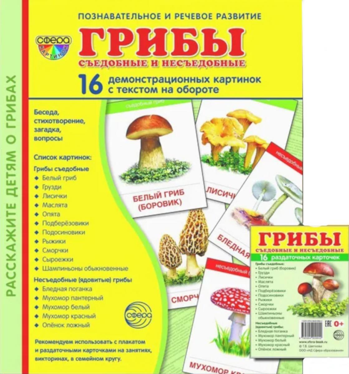 Грибы съедобные и несъедобные (комплект из 32 карточек, 2 формата: 173х220 и 63х87)