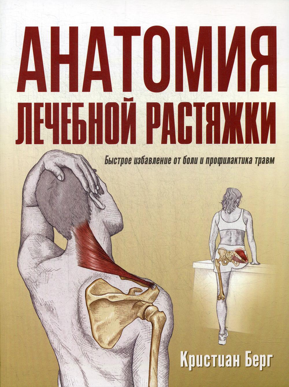 Анатомия лечебной растяжки: быстрое избавление от боли и профилактика травм