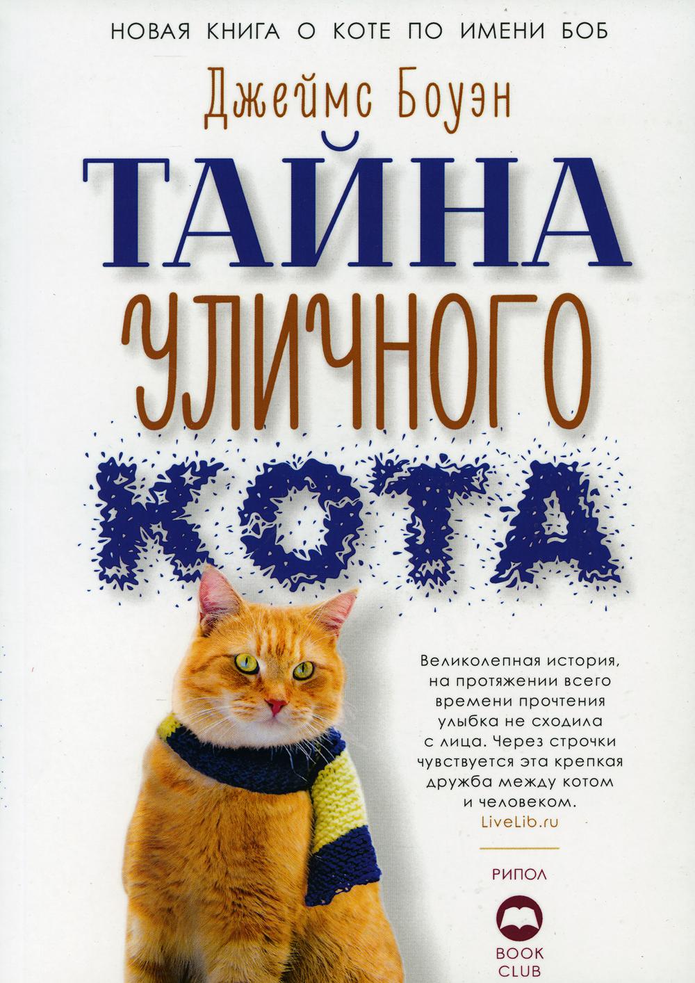 Тайна уличного кота