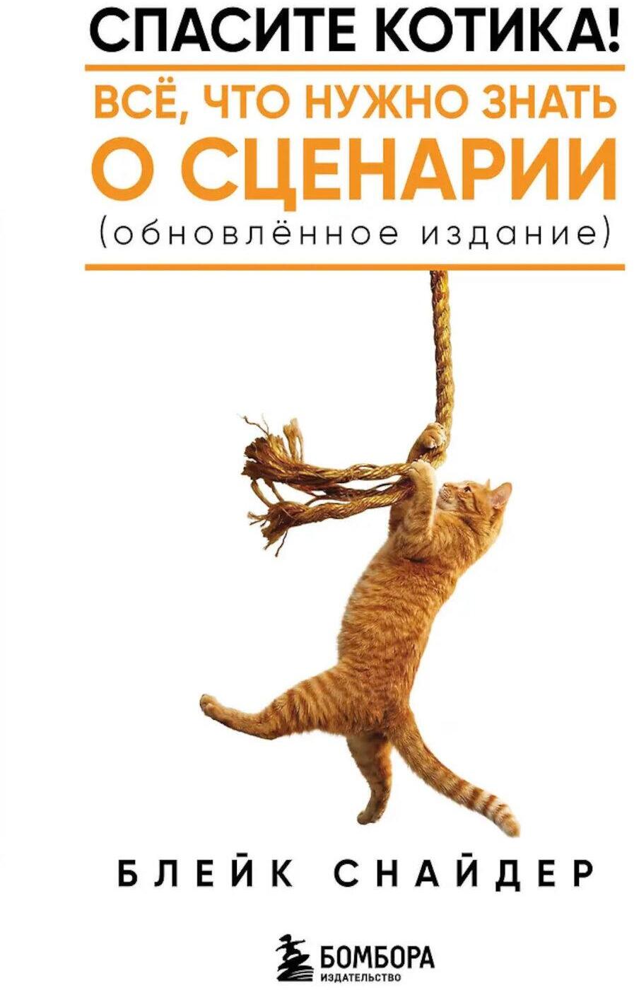 Спасите котика! Все, что нужно знать о сценарии