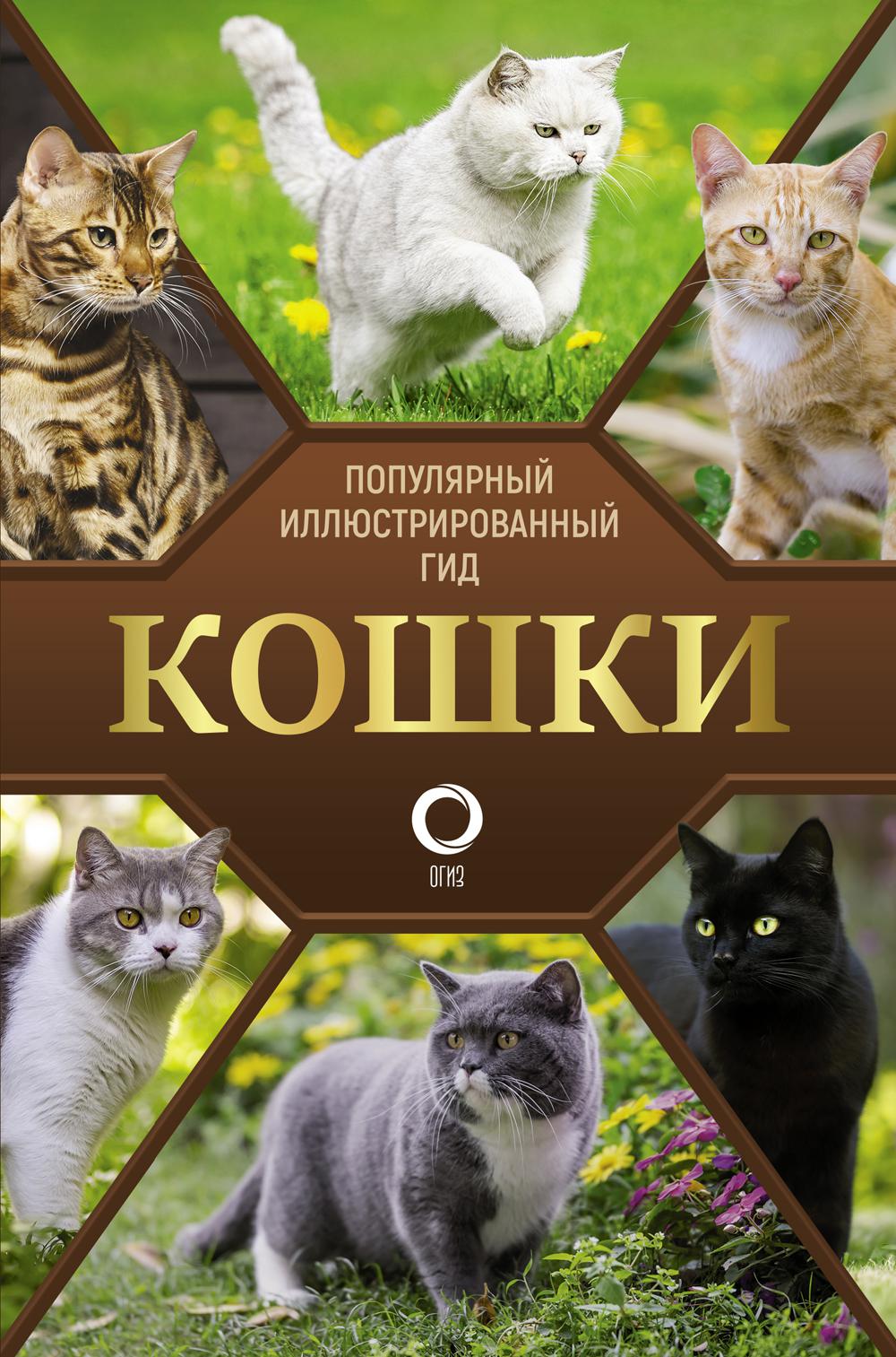 Кошки