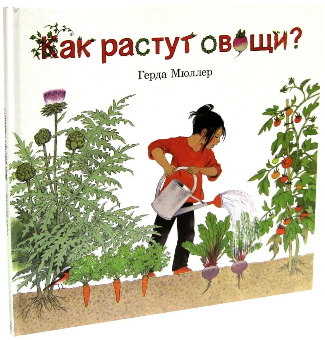 Как растут овощи?