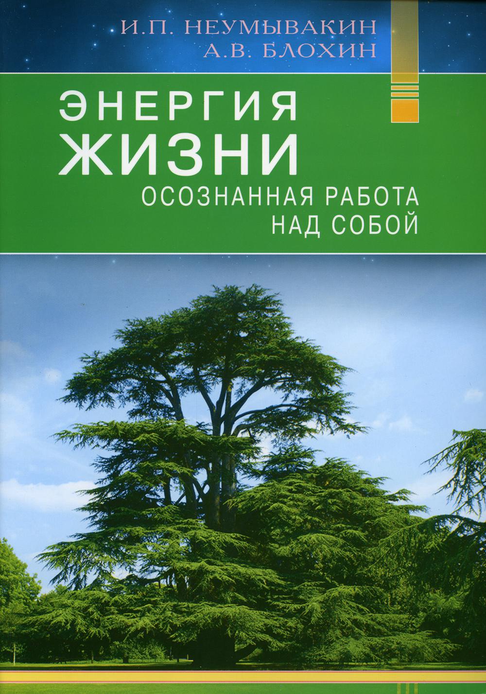 Энергия жизни. Осознанная работа над собой