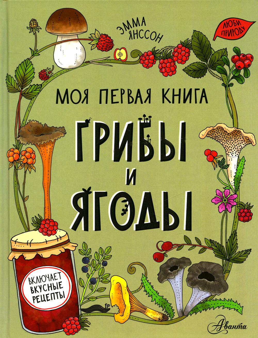 Грибы и ягоды