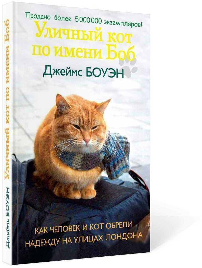 Уличный кот по имени Боб. Как человек и кот обрели надежду на улицах Лондона