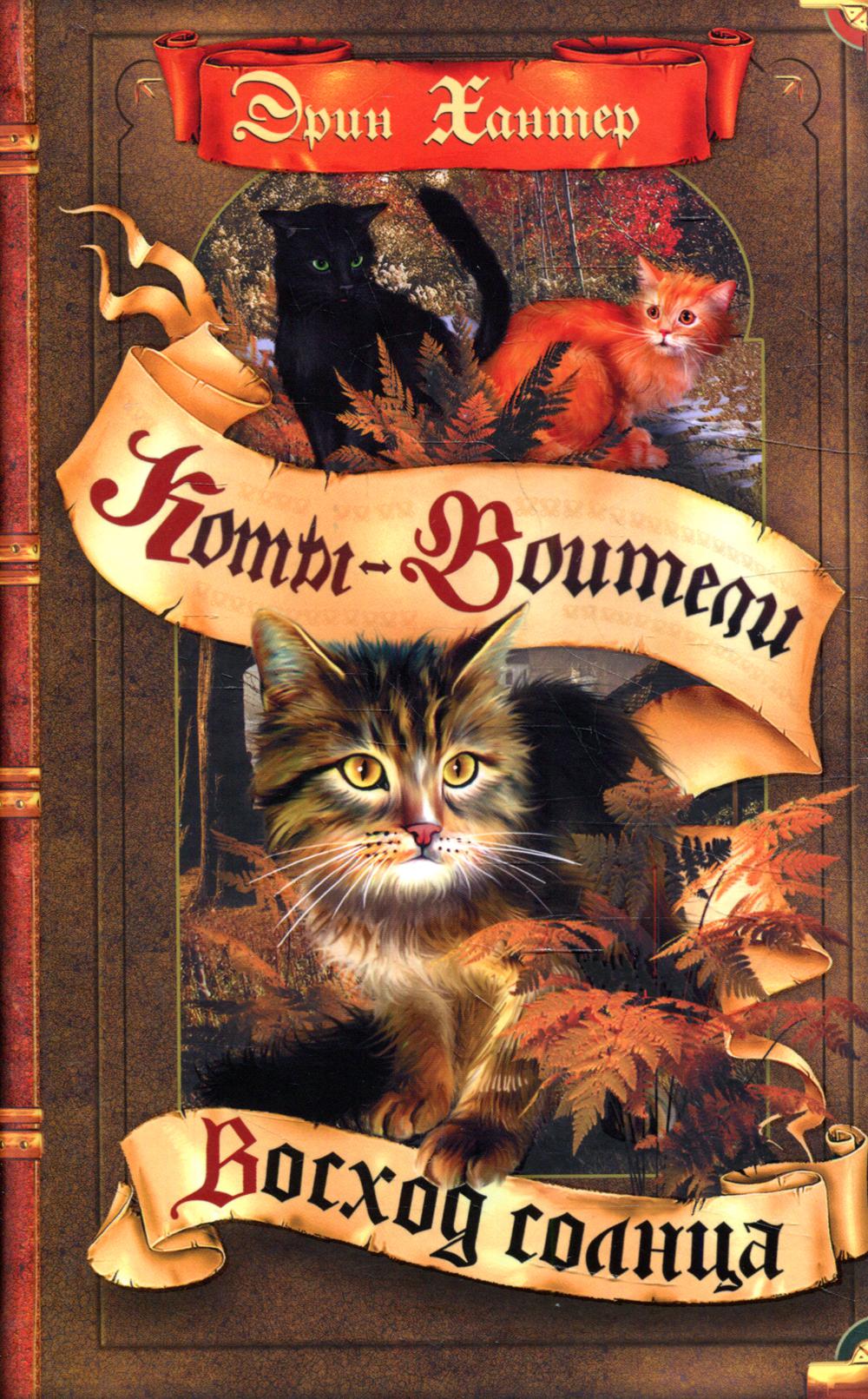 Коты-воители. Восход солнца