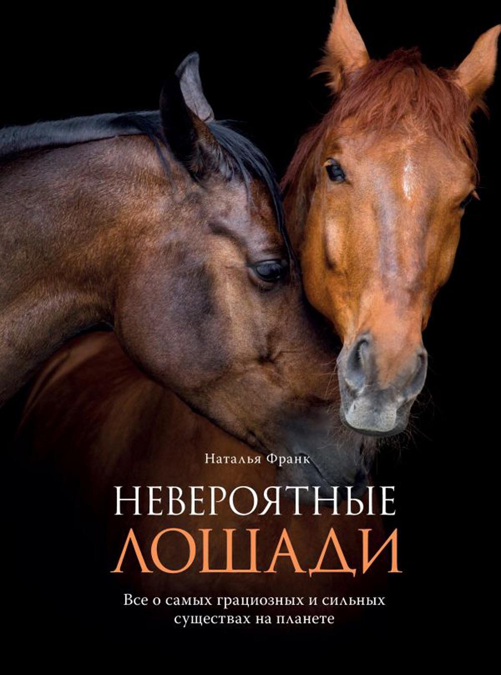 Невероятные лошади: все о самых грациозных и сильных существах на планете
