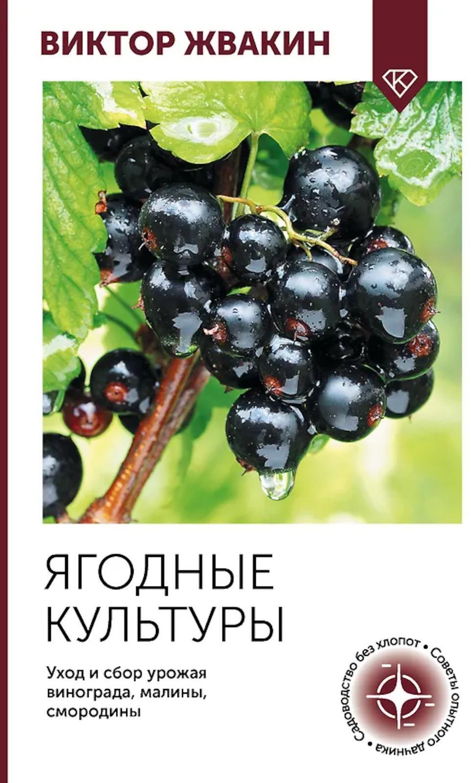 Ягодные культуры. Уход и сбор урожая винограда, малины, смородины