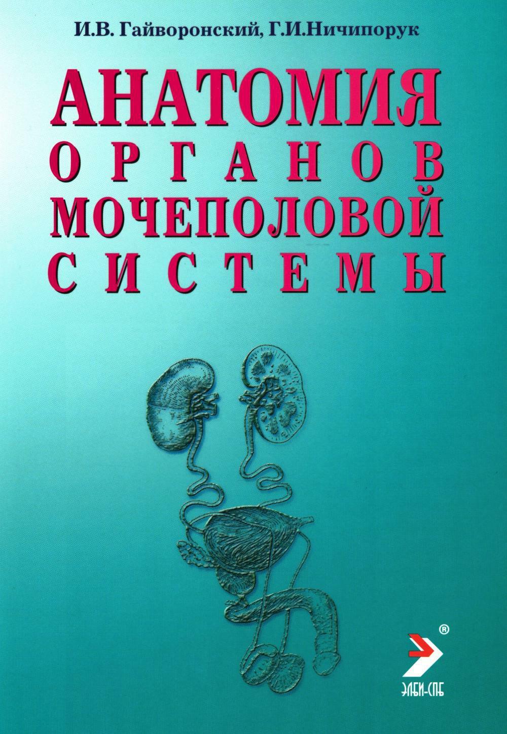 Анатомия органов мочеполовой системы: Учебное пособие. 13-е изд., перераб. и доп