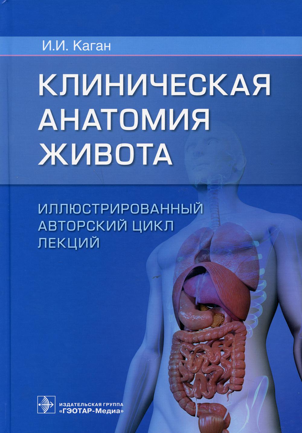 Клиническая анатомия живота. Иллюстрированный авторский цикл лекций