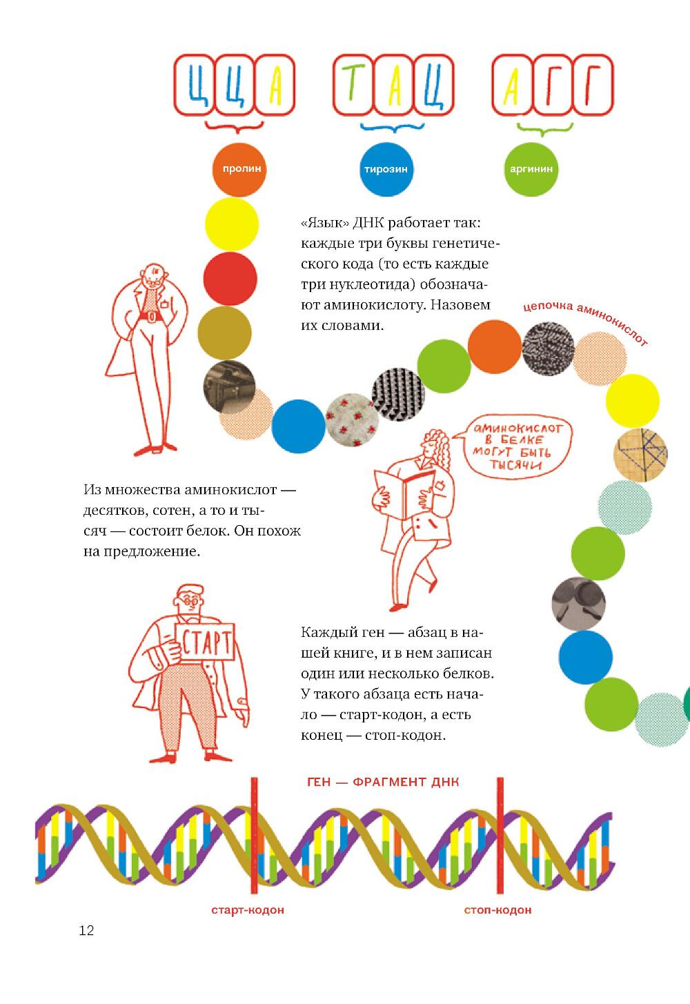 Расплетая ДНК: увлекательный путеводитель по генетике