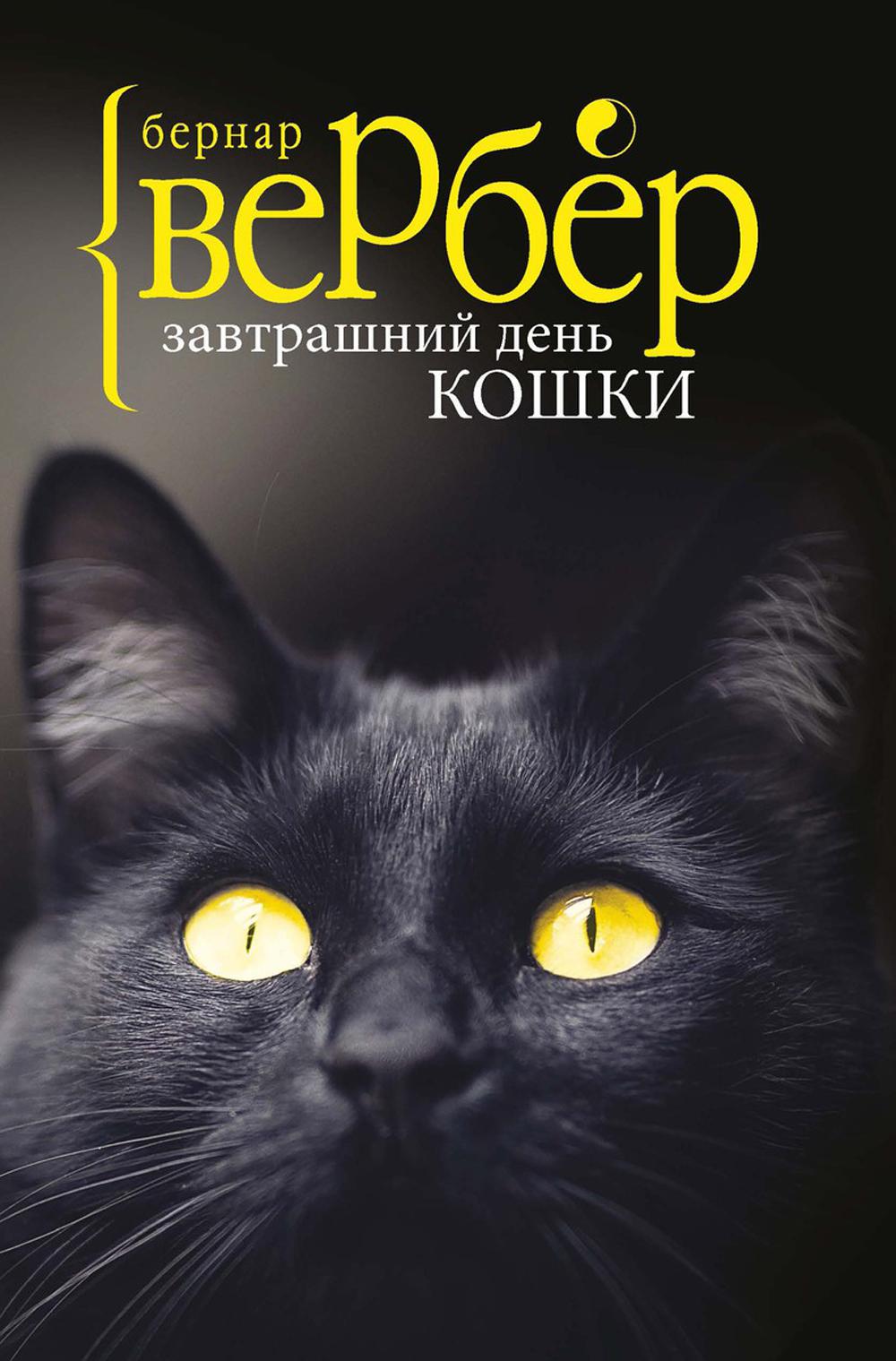 Завтрашний день кошки